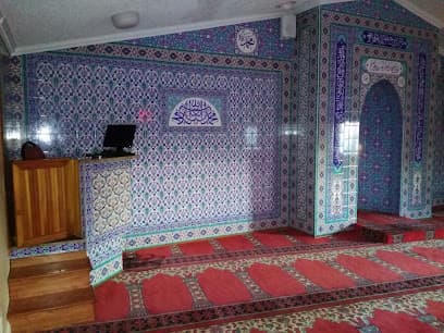 TAMCA (Diyanet Mosque of Levittown)